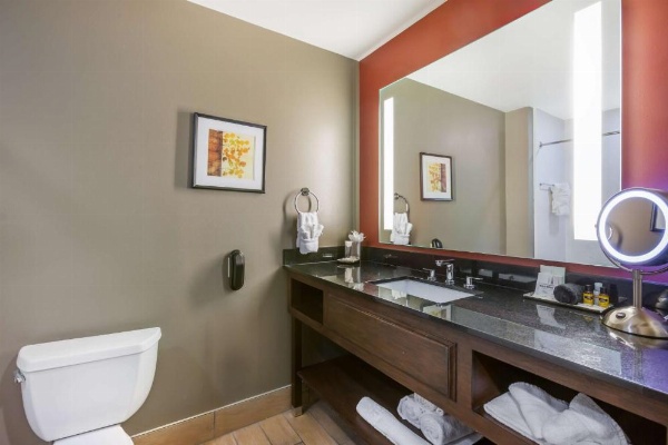 Best Western Premier Ivy Inn & Suites image 29