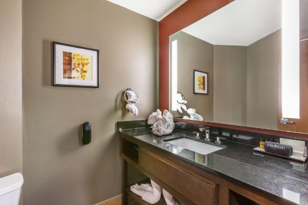 Best Western Premier Ivy Inn & Suites image 30